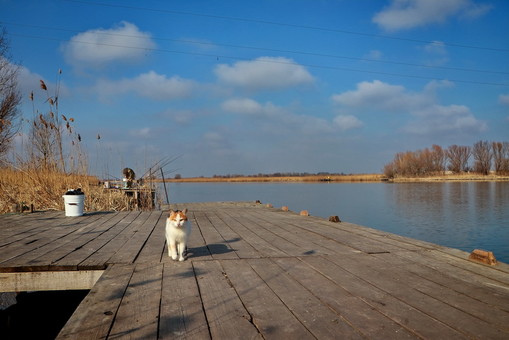 Наводнения в Карпатах привели к началу паводка в Одесской области на Днестре
