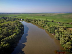 На Днестре вода поднялась и затопила плавни и остров Турунчук (ФОТО, ВИДЕО)