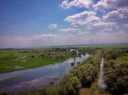 На Днестре вода поднялась и затопила плавни и остров Турунчук (ФОТО, ВИДЕО)