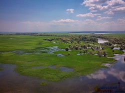 На Днестре вода поднялась и затопила плавни и остров Турунчук (ФОТО, ВИДЕО)