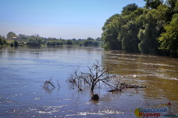 На Днестре вода поднялась и затопила плавни и остров Турунчук (ФОТО, ВИДЕО)