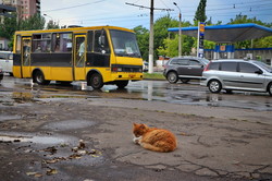 Ливень в Одессе: Балковскую слегка затопило (ФОТО, ВИДЕО)