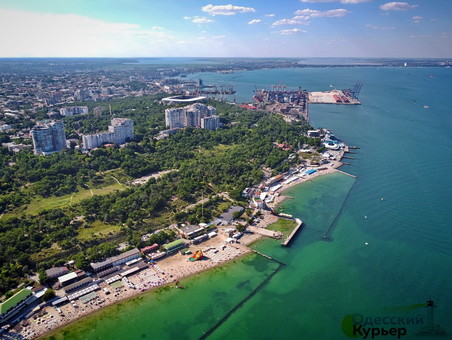 Как к берегам Одессы принесло гниющие водоросли (ВИДЕО)
