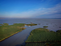 В Одесской области будут создавать национальный парк на озерах Ялпуг и Кугурлуй (ВИДЕО)