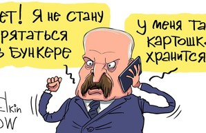 Операция "Ы" и другие приключения Шурика Лукашенко