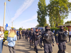 В Одессе задержали "титушек" от "ОПЗЖ"