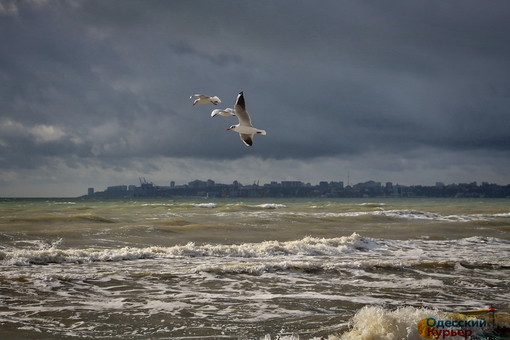 Море в Одессе штормит перед бурей (ФОТО, ВИДЕО)