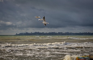 Море в Одессе штормит перед бурей (ФОТО, ВИДЕО)