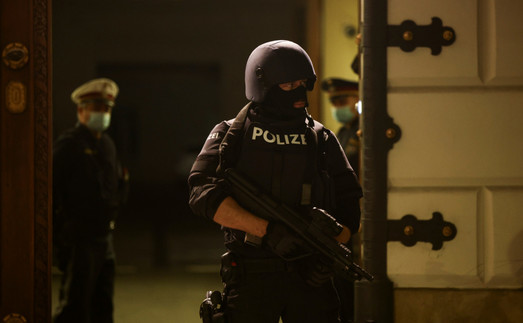 Террористический акт в Вене: Европе пора открыть глаза на змею, пригретую на груди