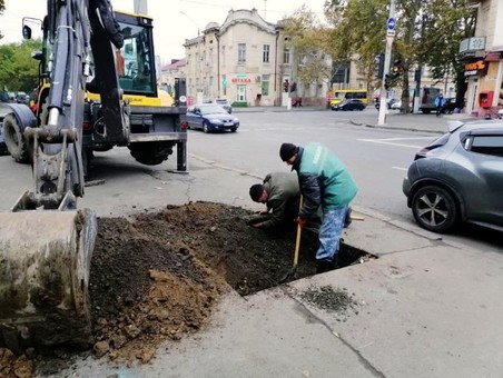 В Одессе на Молдаванке высаживают новые деревья