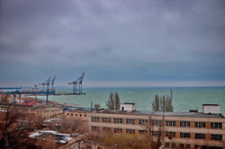 Зимнее море в Одессе: шторм, волны и коты (ФОТО, ВИДЕО)