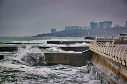 Зимнее море в Одессе: шторм, волны и коты (ФОТО, ВИДЕО)