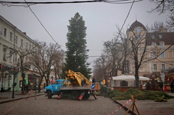 На главной улице Одессы уже ставят новогоднюю елку (ФОТО)