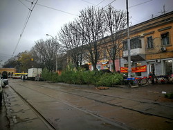 Почем в Одессе новогодние елки