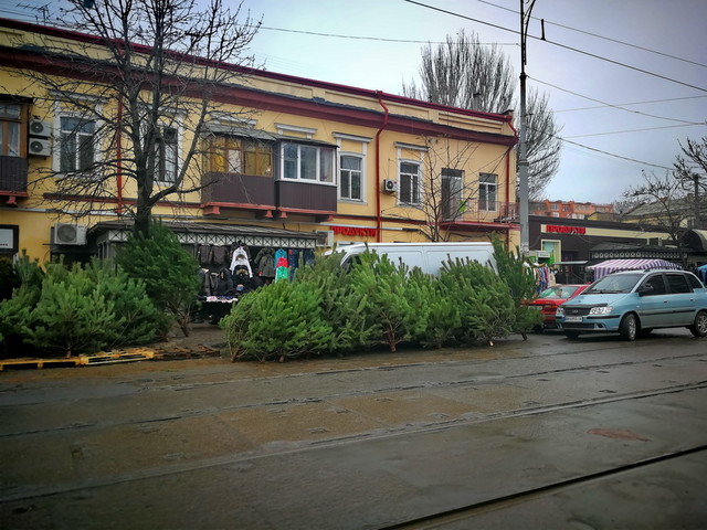 Почем в Одессе новогодние елки