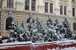 Одессу засыпало снегом (ФОТО, ВИДЕО)