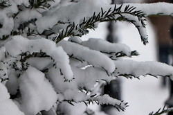 Одессу засыпало снегом (ФОТО, ВИДЕО)