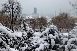 Одессу засыпало снегом (ФОТО, ВИДЕО)