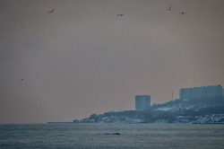 Море у берегов Одессы "парит" из-за сильных морозов (ФОТО, ВИДЕО)