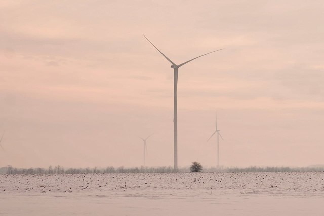 В селе Староказачье готовят к запуску мощную ветровую электростанцию