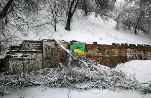 В Одессе падают деревья