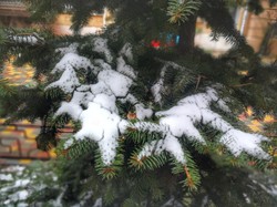 В Одессу вернулась зима (ФОТО)
