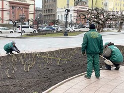 В Одессе начали весеннее благоустройство клумб и зеленых зон