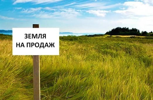 Государство назвало стоимость продажи земли