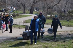 В Одессе выпустили в пруды парка Победы черепах и лебедя
