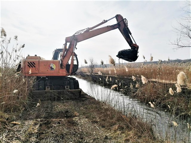 В Одессе расчищают каналы между морем и Хаджибейским лиманом