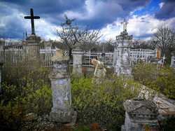 Старинные казацкие кладбища в Одессе: история и современность (ВИДЕО)