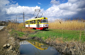 В Одессе могут ввести еще один способ безналичной оплаты проезда в трамваях и троллейбусах
