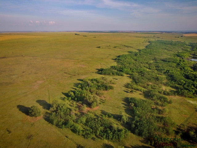 На юге Одесской области может появиться новый степной заповедник