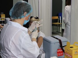 В Одессе прошла массовая вакцинация от ковида