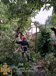 На севере Одесской области спасатели ликвидировали последствия стихийного бедствия (ФОТО)