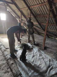 На юге Одесской области пограничники ликвидировали плантацию и производство наркотиков из конопли (ФОТО)