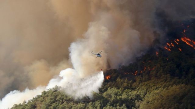 Пожары в Турции: из Одессы вылетели пожарные самолеты, а украинцам рекомендовано не ехать в Турцию