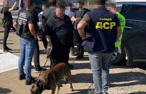 В порту Южный под Одессой обнаружили огромную партию наркотиков