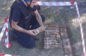 В Одесской области нашли боеприпасы времен Второй мировой войны (ФОТО)