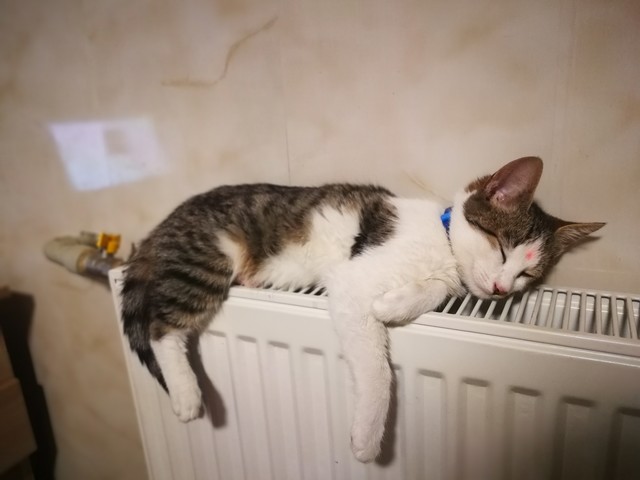 Когда в Одессе включат отопление
