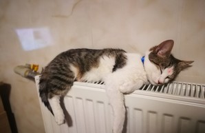 Когда в Одессе включат отопление