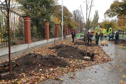 В Одессе на выходных высаживали деревья