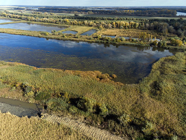 В Одесской области восстанавливают связь Дуная с плавнями