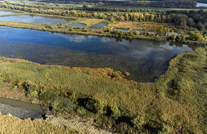 В Одесской области восстанавливают связь Дуная с плавнями