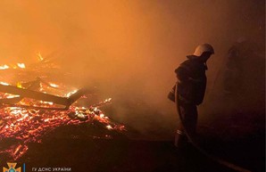Очередной пожар произошел в Одесской области на базе отдыха