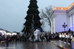 В Одессе зажгли главную городскую елку: уникальное видео с высоты