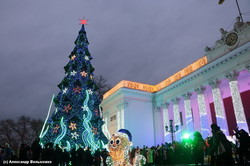 В Одессе зажгли главную городскую елку: уникальное видео с высоты