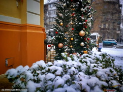 Рождественское настроение в Одессе (ФОТО, ВИДЕО)