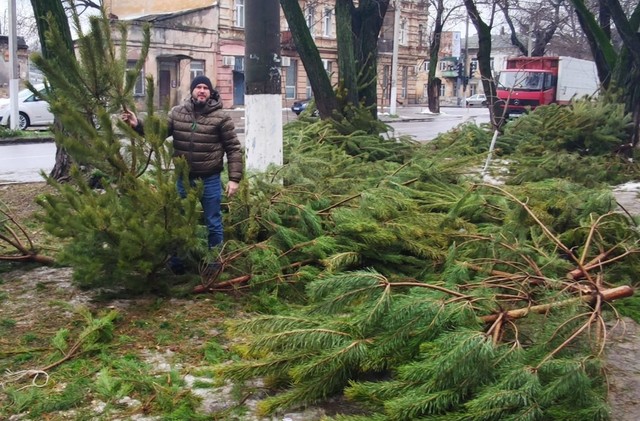 В Одессе выбросили тысячи не купленных елок