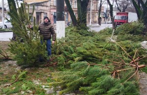 В Одессе выбросили тысячи не купленных елок